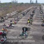 Дипломат: «Ассоциированное трио» может отрицательно сказаться на европерспективах Украины