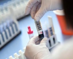 Каникулы для школьников, штрафы, госпитали во Дворцах спорта: распоряжения Зеленского для борьбы COVID-19